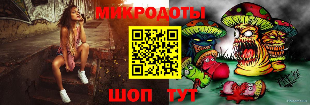 Псилоцибиновые грибы Psilocybine cubensis Тара